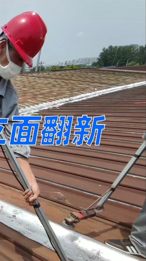 全民最牛手艺人#54万彩钢瓦翻新工程